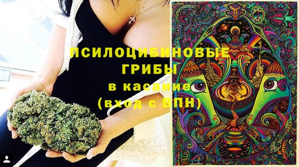 apvp Верея