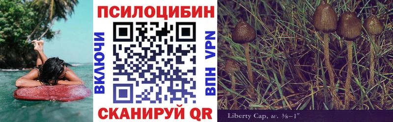 Купить где  Наволоки  Псилоцибиновые грибы Magic Shrooms 